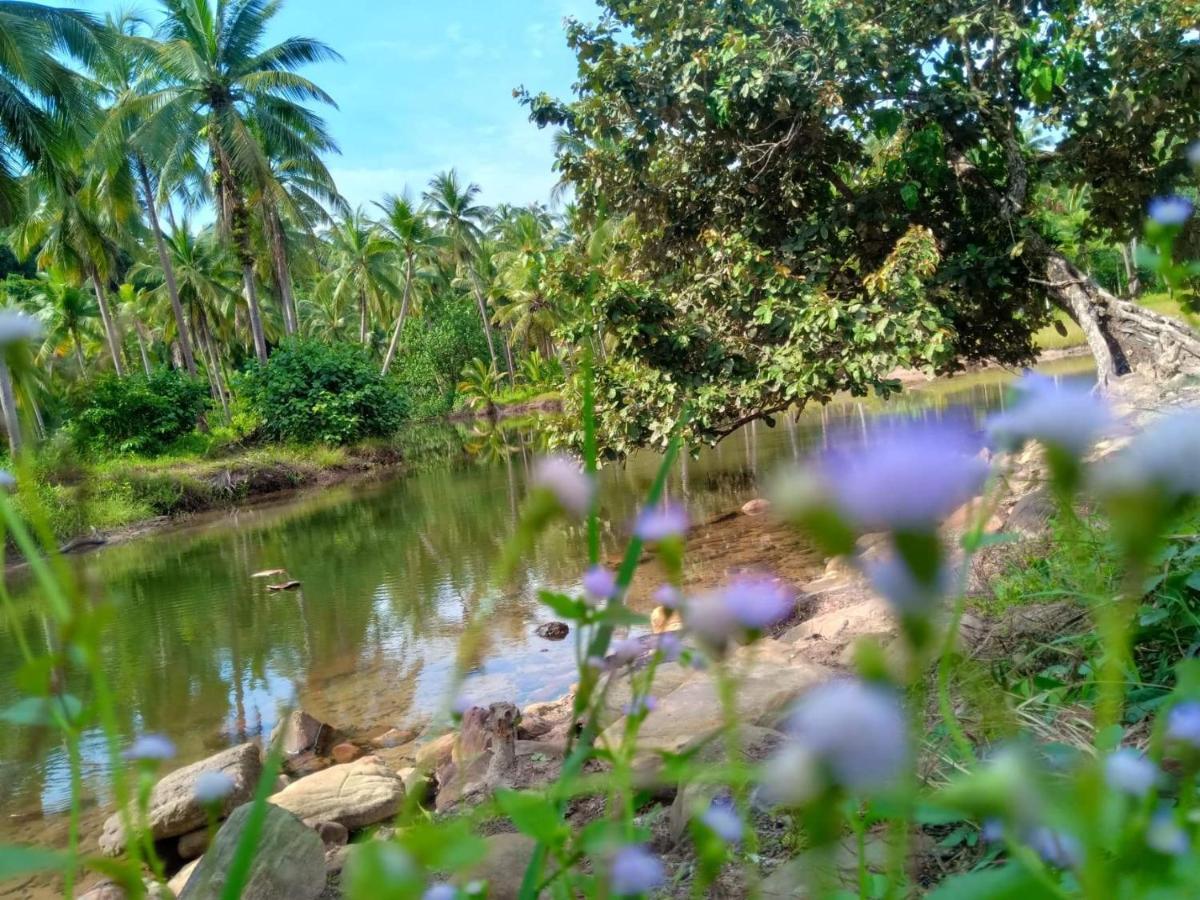 Walk In Homestay Ko Kut Exteriér fotografie